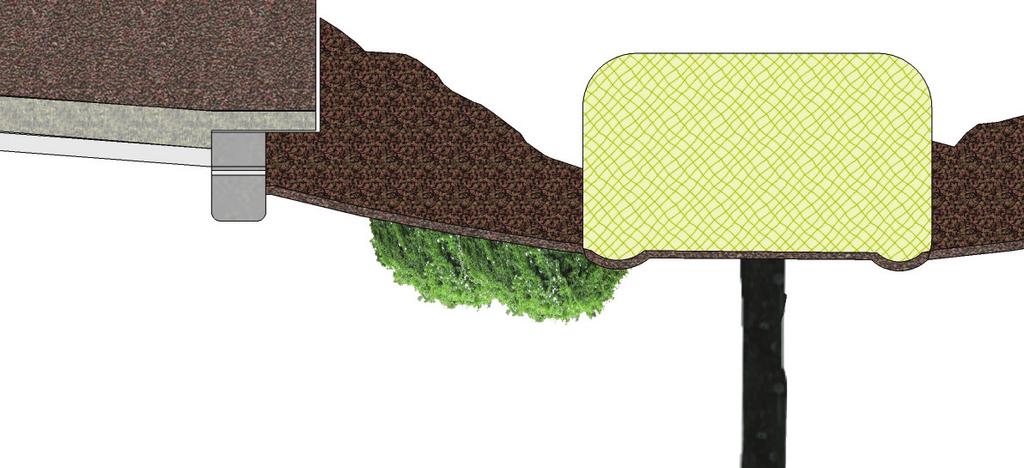 1.5.44 All shrub material in planting islands is to be set back a minimum of two feet (2-0 ) from back of curb to allow for ultimate growth of shrub materials.
