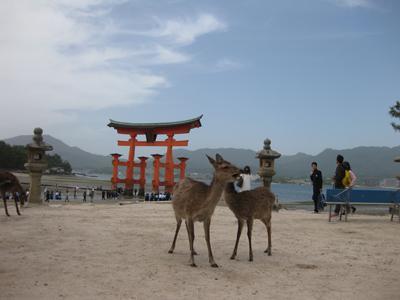 Miyajima : is one of the most