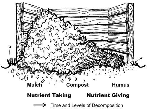 204 California Friendly Maintenance: Your Field Guide Deterring versus Nourishing Mulches For purposes of simplicity, organic mulches can be divided between deterring and nourishing.