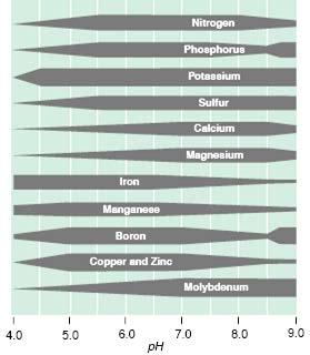 ph affects soil nutrient availability Most Montana soils are: 33% 33% 33% A.