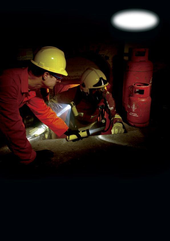 Includes NEW ATEX Fluorescent Leadlamp Range Wolf Safety Lamp Company The widest range of portable ATEX lighting approved for use in explosive atmospheres Wolf Safety have Ex lighting products for