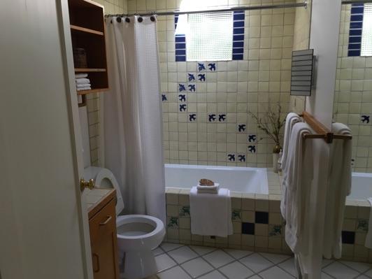 1. Room Hall Bathroom1 Ceiling and walls are in good condition overall. Accessible outlets operate. Light fixture operates. There were no visible indications of plumbing deficiencies overall.