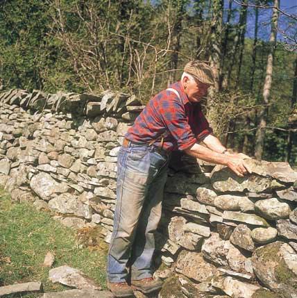 Field boundaries can be restored by management which: follows traditional practices like maintaining hedges by hand reflects local customs uses local materials is