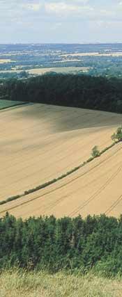 crop growing, land is found mainly in East Anglia, the Vale of York and the southern downlands and also as part of mixed farming systems in middle and southwest