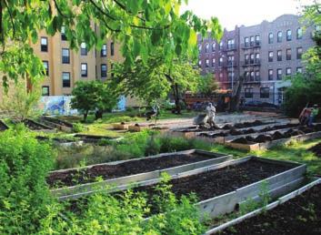 Description and History Established in 1978, NYC Parks GreenThumb is proud to be the nation s largest urban gardening program, assisting nearly 600 community gardens, over 650 school gardens, and