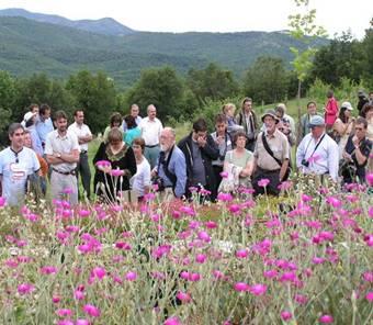 European Botanic Gardens Consortium Consortium meets twice per year Meetings hosted by member countries Costs shared