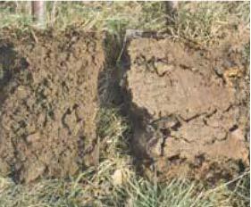 5. Soil compaction Why is soil structure important? Soil structure is important in several ways.