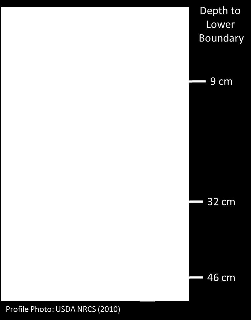 Using the example soil profile (left): Horizon 1 is 9 cm thick with the upper boundary at 0 cm and the lower boundary at 9 cm. Depth from surface to lower boundary = 9 cm.