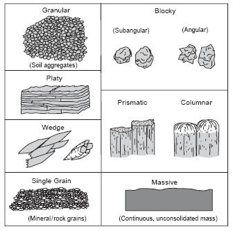 Reference Card S-2, Side B: Soil Structure, Consistence, and Estimating Surface Cover Soil Structure