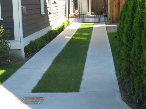 (f) Enhance the treatment of driveways and lanes with landscaping, such as planting near lanes and paving driveways as wheel strips with planting in the