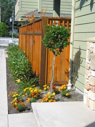 (d) Add soft landscaping to provide visual depth, screening,