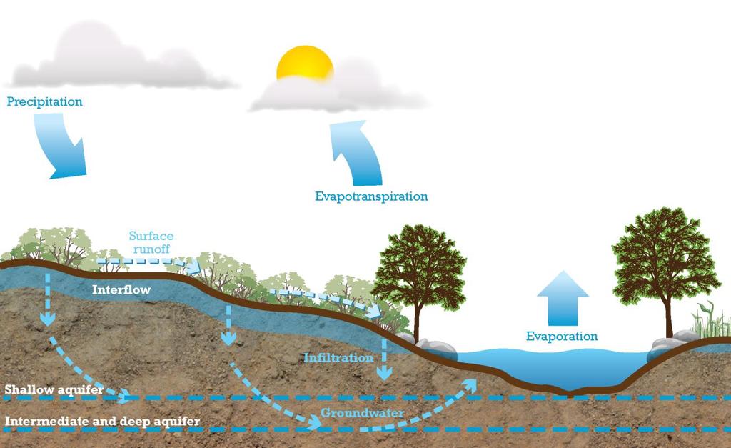 Chapter 1 Green Stormwater Infrastructure Pre-Developed Condition In a natural landscape that is undisturbed by development and has minimal impervious surfaces, precipitation is absorbed and