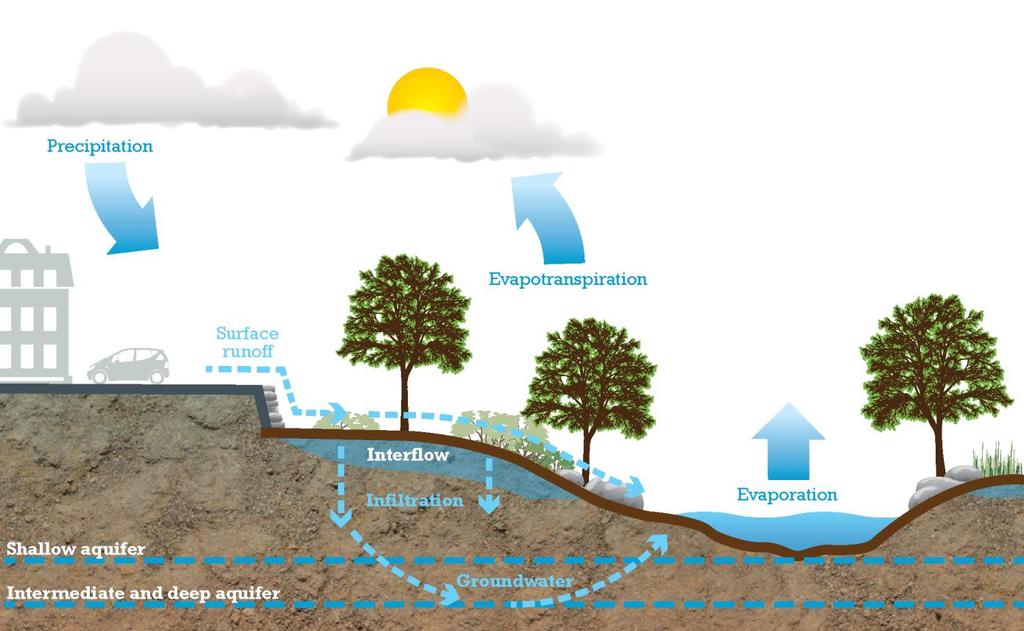 Chapter 1 Green Stormwater Infrastructure Impacts of Urbanization As a community develops, the amount of surface area covered by roadways, parking lots, roads, and rooftops increases.