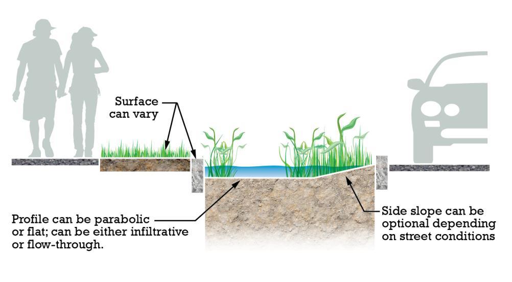 Chapter 4 GSI Practice Applications Bioretention Areas: Step 2 SOIL AND VEGETATION CONDITIONS (Continued) Pesticides or herbicides should not be applied in bioretention areas if possible; therefore,