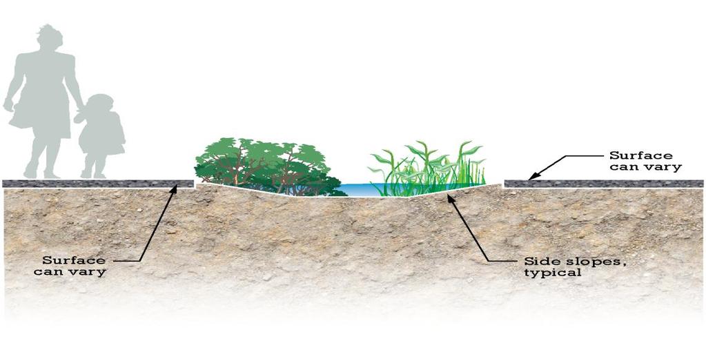 Chapter 4 GSI Practice Applications Bio-swale: Step 2 SOIL AND VEGETATION CONDITIONS (Continued) Prevent compaction of soils in the facility in order to increase the volume for stormwater storage and