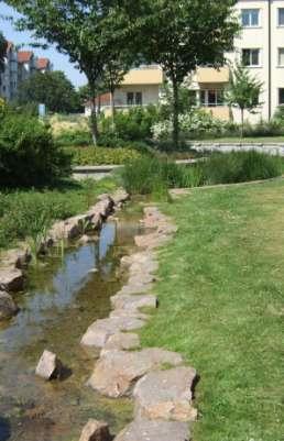 opportunities to create attractive vegetated