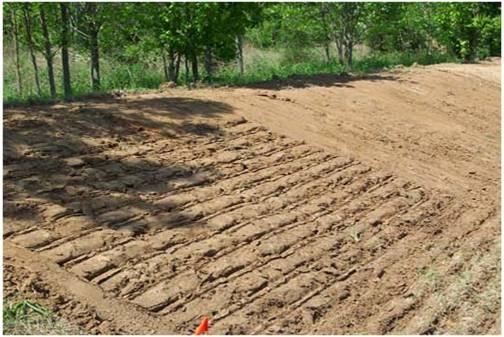 ITEM 23-1. SOIL RIPPING Source: The Lady Bird Johnson Wildflower Center. 1.1 DESCRIPTION Soil ripping is a treatment measure that loosens overly compacted soil. 1.2 DESIGN APPLICATION A.