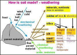 Soil Created by disintegrating rocks & organic matter Components are minerals, organic matter, air & water Influenced