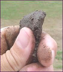 Soil Texture Particles are divided by size: Sand > Silt