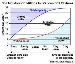 Soil Water Availability Soil has a chemical & physical attraction to water Plants