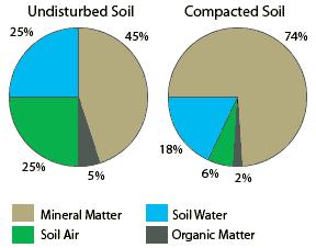 Water does not like to move from a course soil to a fine soil, so water will sit at the interface.