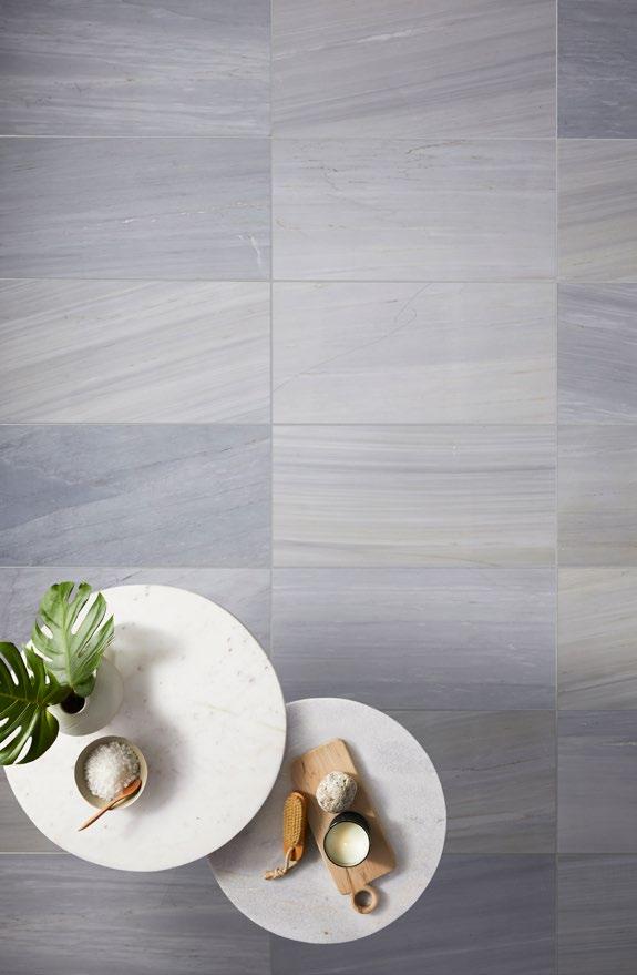Highlight an accent wall, elevate the look of a shower or give chic style to a floor with the Victoria Grey light polished-finish wall and floor tile.
