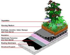 Green Roofs Layer of vegetation and soil installed on top of a conventional flat or sloped roof Can be intensive or