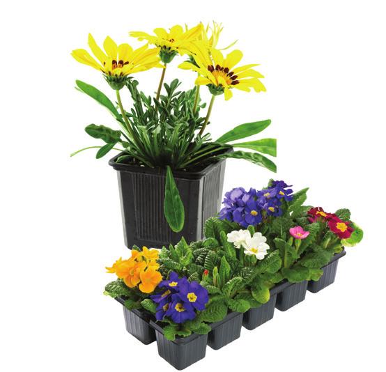 Plastic Flower Pots & Flats Bring your plastic flower pots and flats to the Public Drop Off Depot!