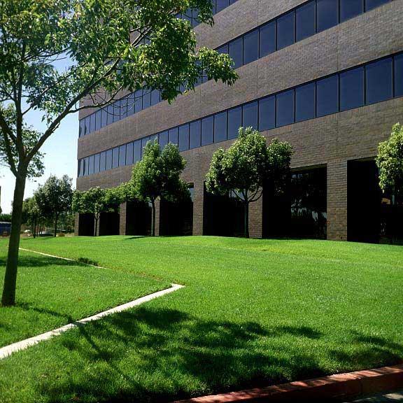 Flexible Pervious Grass Pavers Fire Lanes and Emergency