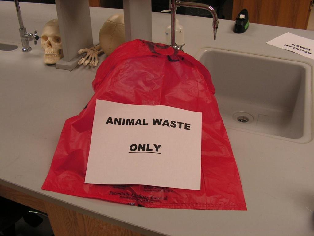 14. Dispose of animal waste