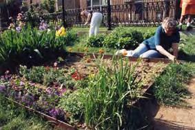 environments Garden plots help to provide food security for