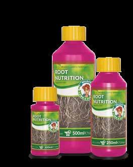 The root nutrition can also be used when the plant is affected by root eating insects in order to repair the roots.