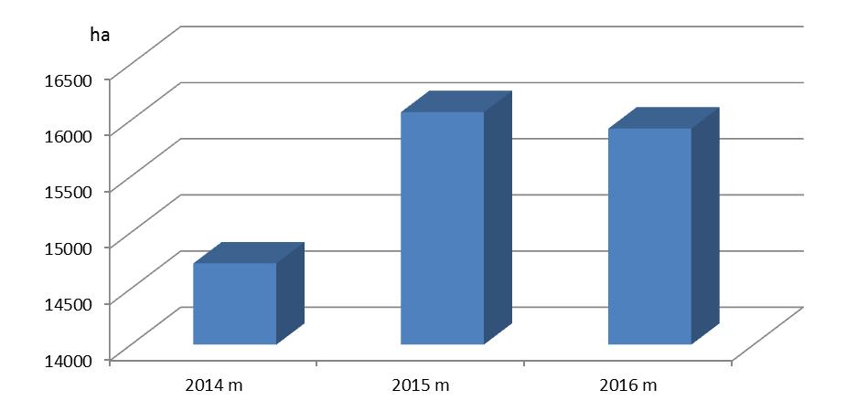7 Per pastaruosius tris metus bendras deklaruotų sodų ir uogynų plotas Lietuvoje padidėjo daugiau kaip 1200 ha (2 ir 3 pav.).
