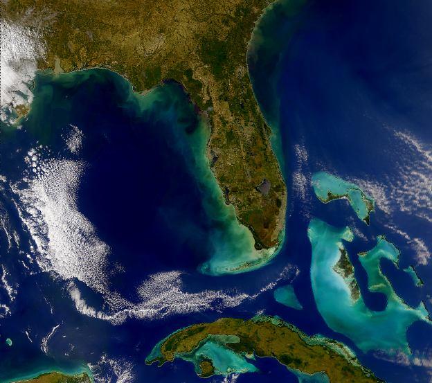 The Florida Ecosystem Restoration Network (FERN).