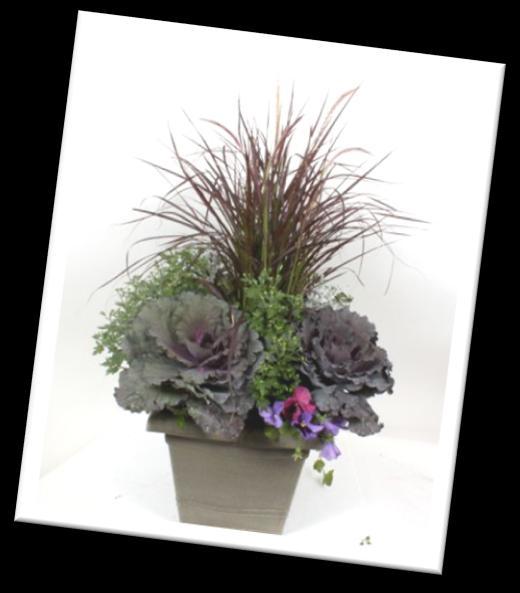 Grower Spectrum: Lawn and Garden Inspiration Gardens Our passion: Bringing flowers to market that