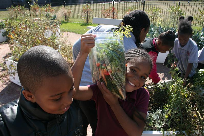 Reach out to your Garden Educators for guidance on safe harvesting, as well as ideas and recipes for eating your fresh produce with students.