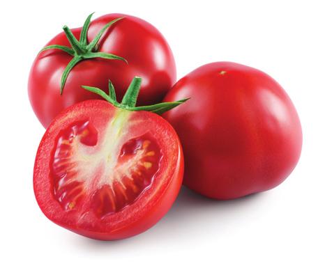 Harvesting fresh-market tomatoes can be labor-intensive and requires multiple pickings by hand. Cucumbers The soil and climate of the eastern part of the state also are conducive to growing cucumbers.