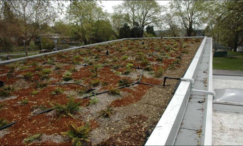 Green Roof Growth medium, vegetation and drainage layers promote stormwater retention and