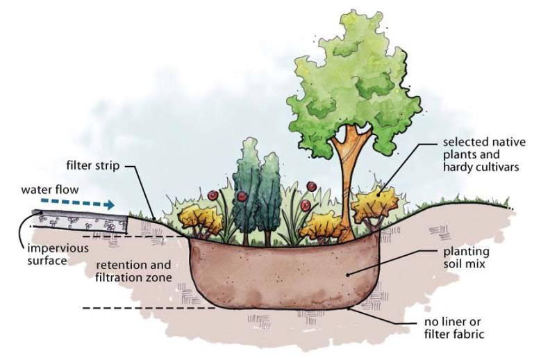 Bioretention (rain garden) What is bioretention?