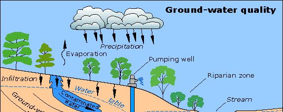 Water Beneath the Soil Surface water Precipitation that collects and flows above the