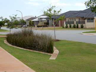 The bioretention basins are planted with native vegetation for water quality improvement and are designed to treat and infiltrate