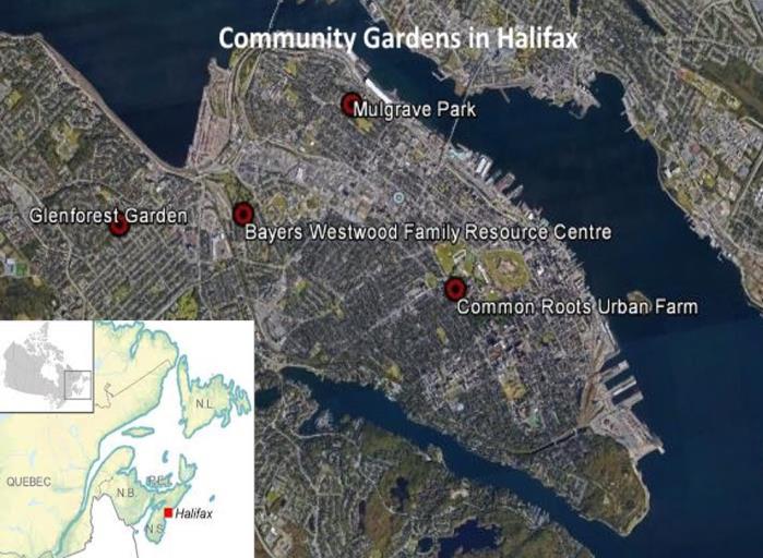 Halifax, Nova Scotia, Canada: Communities fighting food insecurity with self-sustaining initiatives.