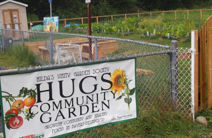 Although this community had initial success in gaining community garden plots, a lack of leadership prevented activity in the gardens.