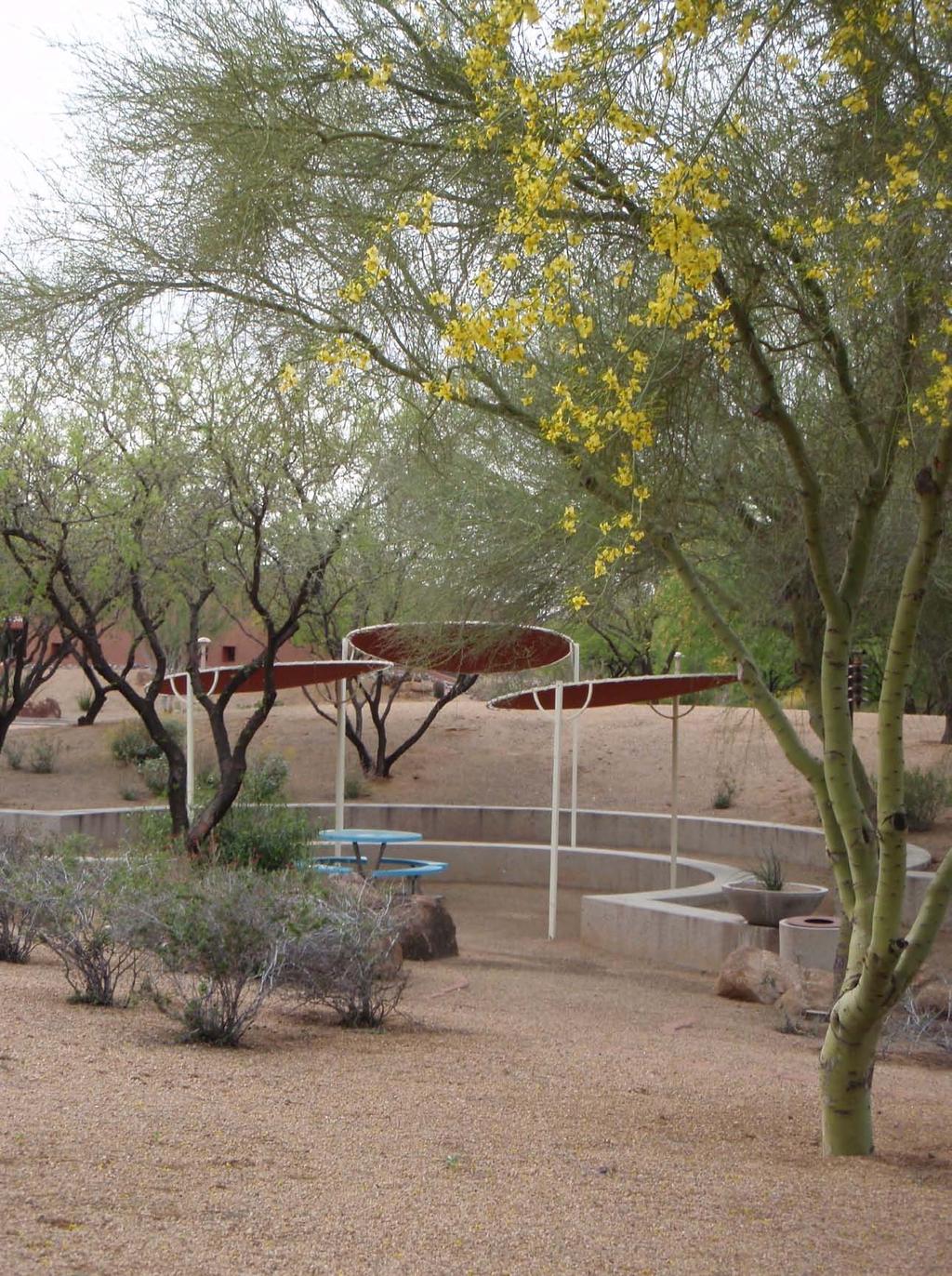 OPEN SPACE AND RECREATION The Town celebrates and maintains the spectacular visual character of our Sonoran Desert setting and we value our open space, mountain views, washes, vegetation, and