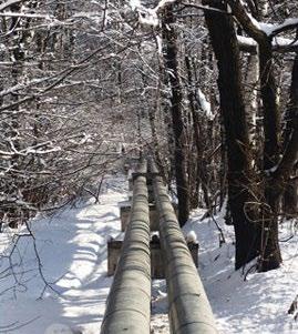 In addition to pipe freeze protection, ProLine Radiant s self-regulating pipe trace systems can also be used for process temperature maintenance applications where viscosity control at higher