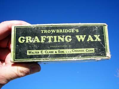Tools and Materials Grafting wax, tape