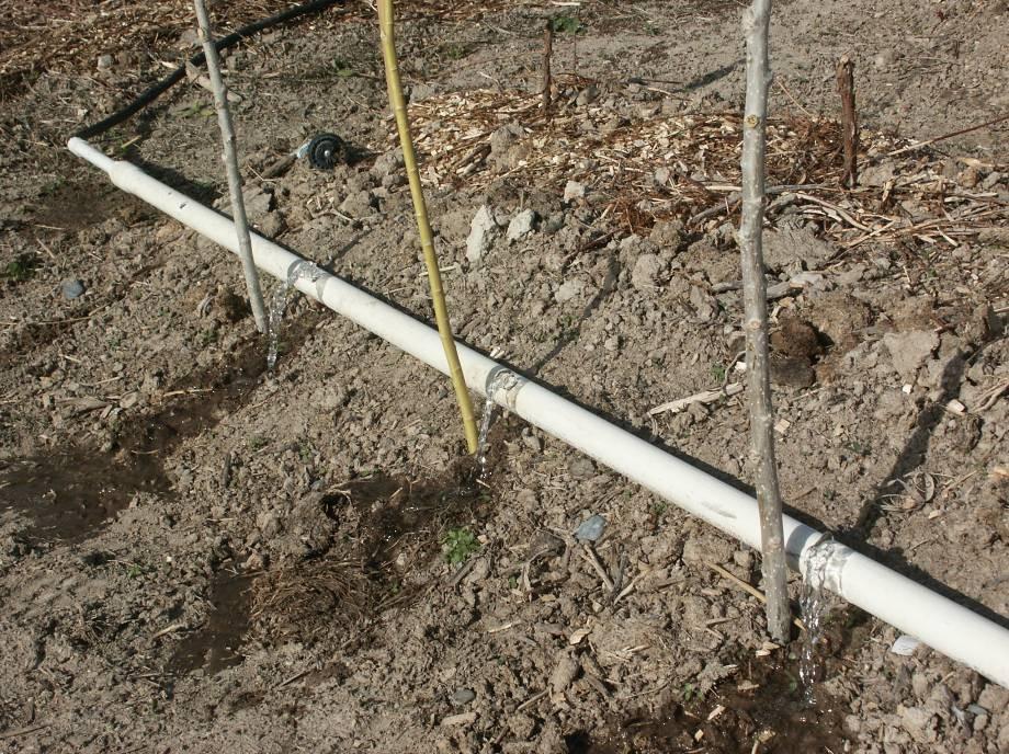 A simple drip system can help you maintain a wet
