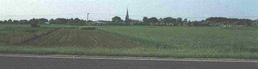 recent, regular plantations l variable patterns of drystone walls and hedges but fields are