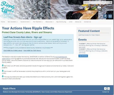 Ripple Effects Goal: Create a simple overarching brand to