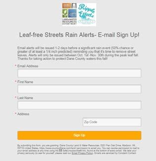Leaf-free Streets for Clean Waters Goal: Encourage residents to actively remove street leaves before the rain.
